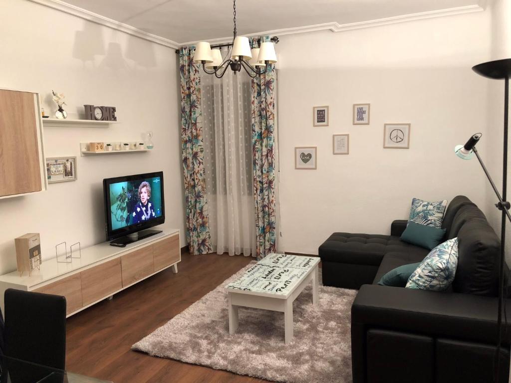 sala de estar con sofá y TV en Dres Castroviejo Peatonal, en Logroño