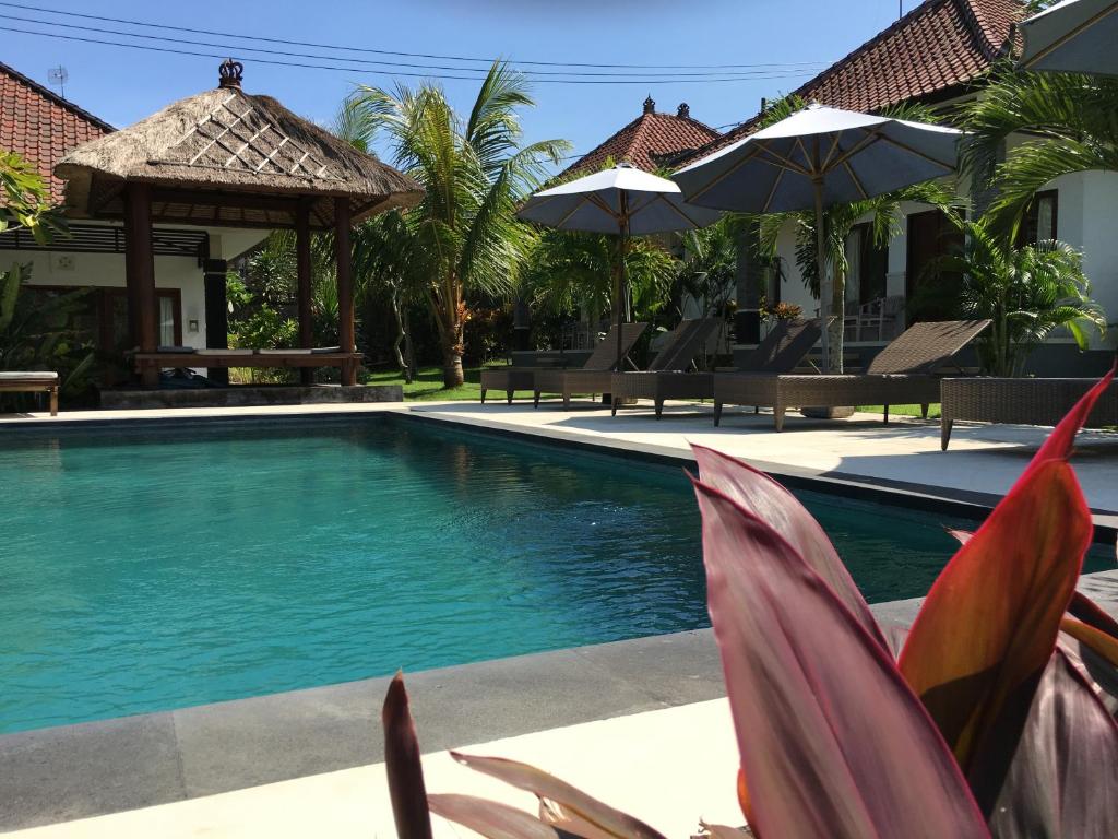 a swimming pool with chairs and umbrellas next to a house at Bingin Family Bungalow in Uluwatu