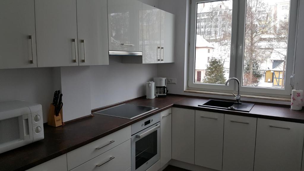 Kuchyňa alebo kuchynka v ubytovaní Apartament rodzinny z ogrodem - Bliżej Zdroju