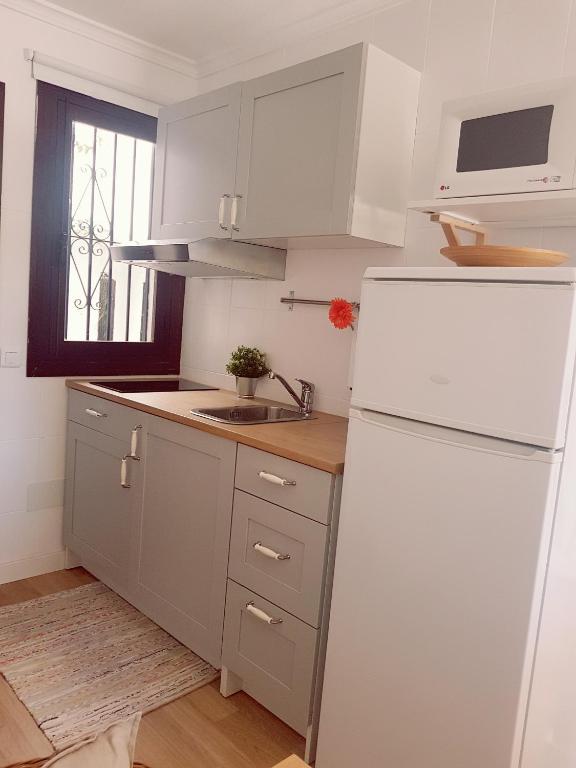 Kuchnia lub aneks kuchenny w obiekcie Estudio Pueblo Evita 133