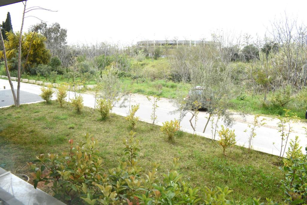 Verde Apartments - 15