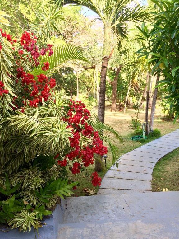 Um jardim em Miraflores Boutique Hotel Adults Only