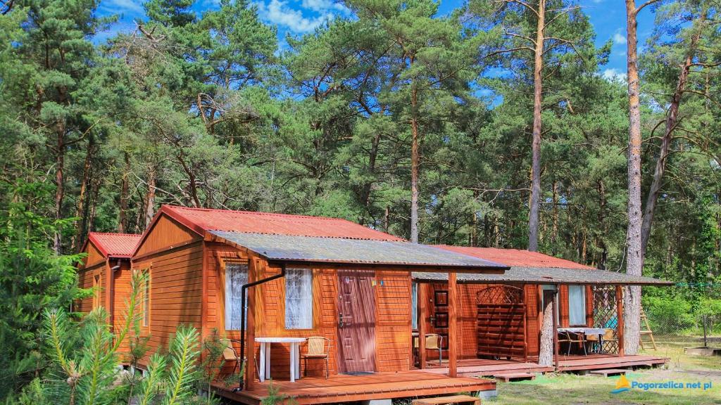 Domek Letniskowy Diana في بوغورزيلكا: كابينة خشبية بسقف احمر في غابة