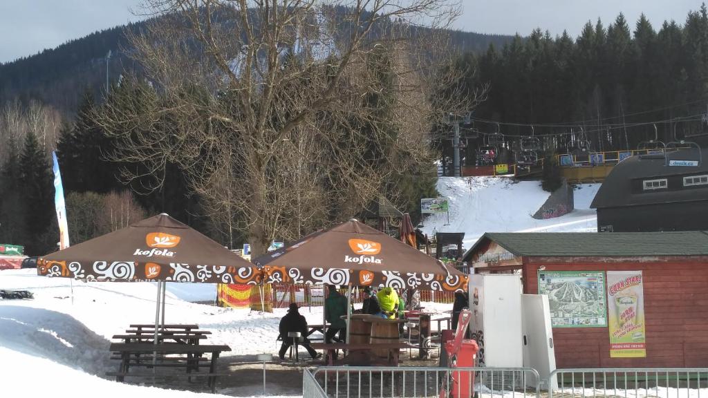 Harrachov Resident Apartments "Terrace & Chill" - high speed WiFi, možnost snídaně, Smart TV, Netflix, Disney plus - 18