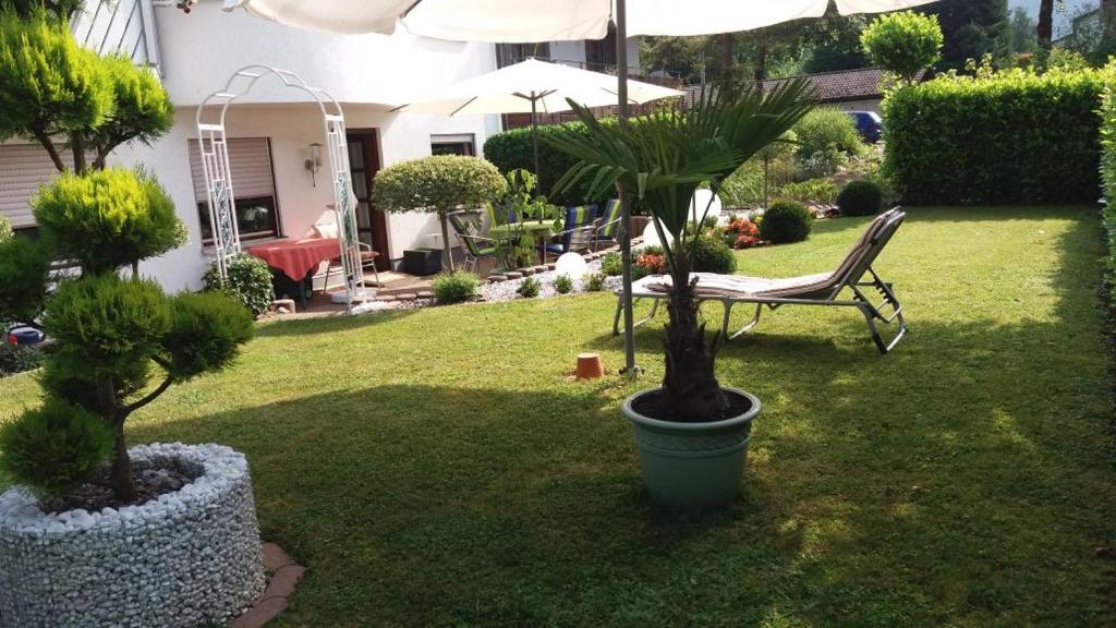 einen Garten mit einem Stuhl, Bäumen und einem Sonnenschirm in der Unterkunft Ferienwohnung Guth in Wehr