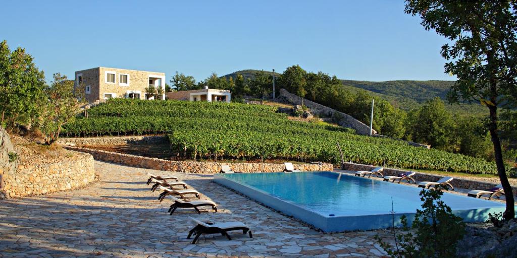 a swimming pool with lounge chairs next to a vineyard at Stanic Estate in Ljubuški