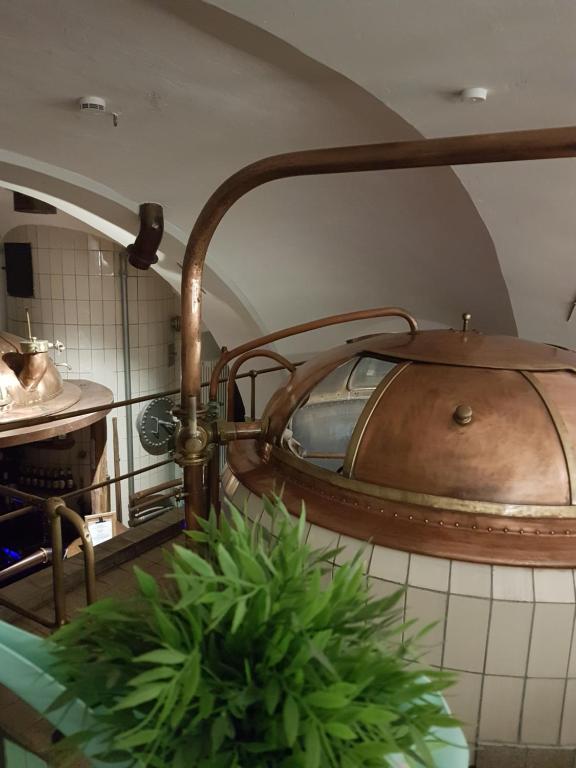 Fotografie z fotogalerie ubytování Hotel Gasthof Traubenbräu v destinaci Krumbach