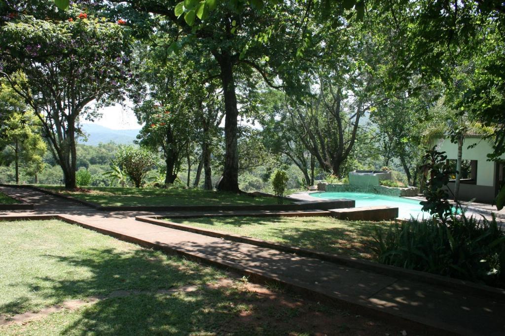 a backyard with a swimming pool and trees at Mountain Creek Lodge in Hazyview