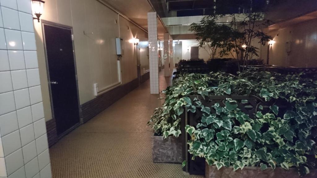 Fotografie z fotogalerie ubytování Hotel Taiheiyo v destinaci Matsushige