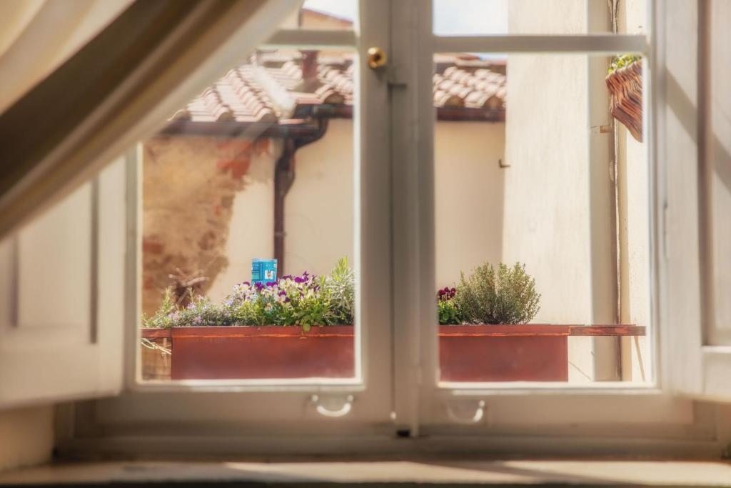 Vonkajšia záhrada v ubytovaní Ghibellino B&B