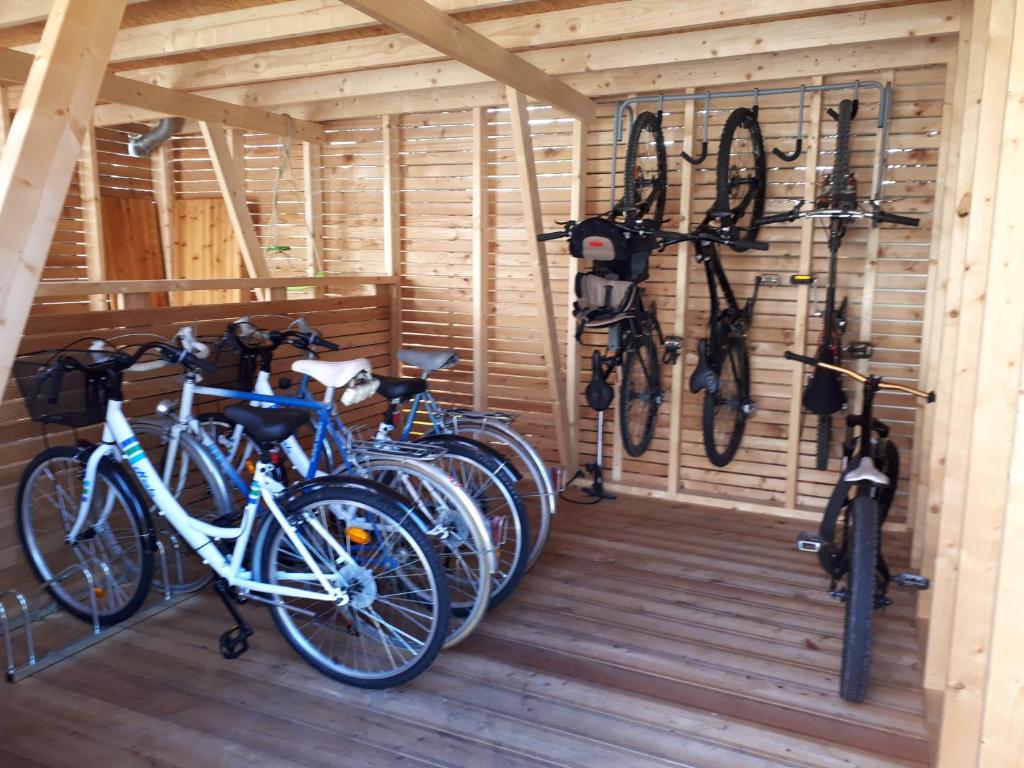 Jízda na kole v ubytování Carpe Diem Bed & Breakfast nebo okolí
