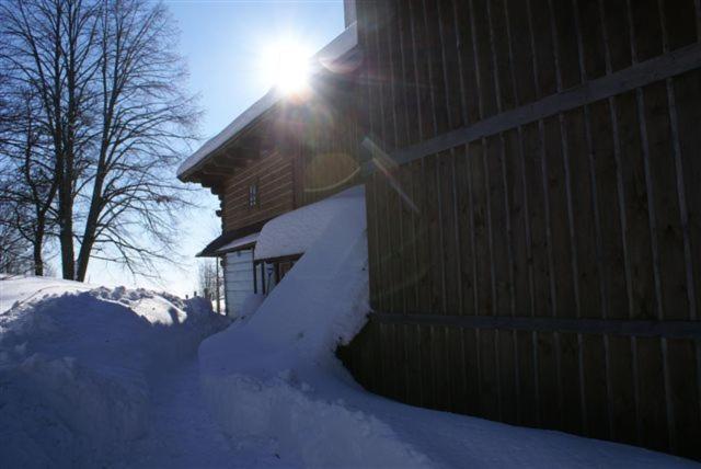 Modrá chalúpka during the winter