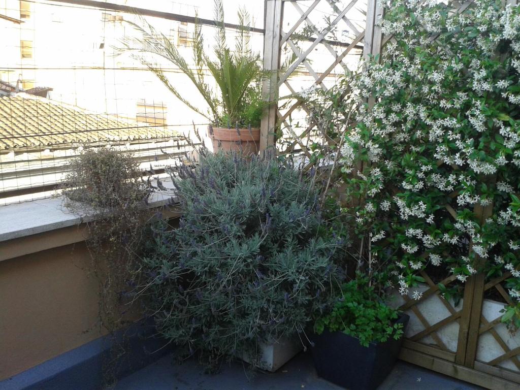 a garden with plants in pots on a balcony at Chiara Rooms in Rome