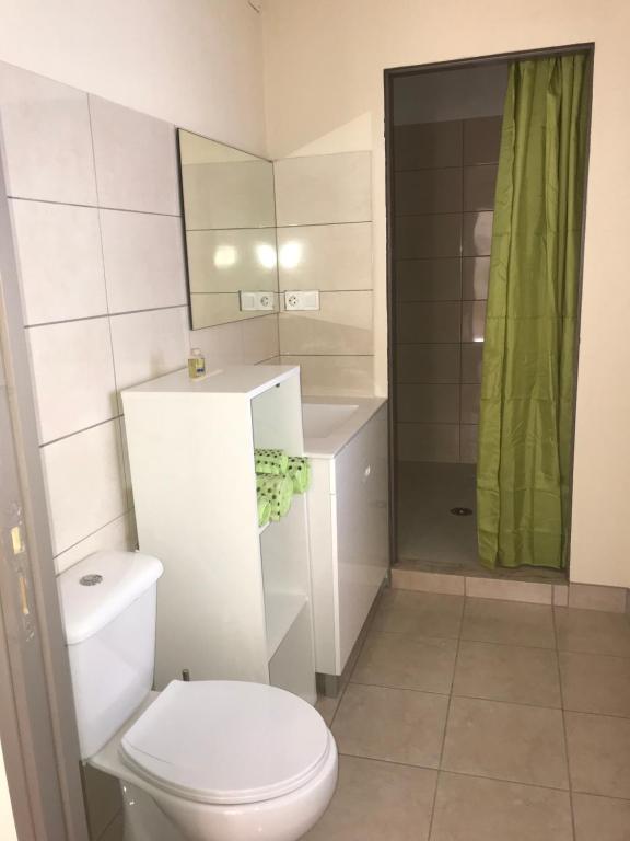 a bathroom with a toilet and a shower at Apartment QUINTA DE AREIAS in Crespos