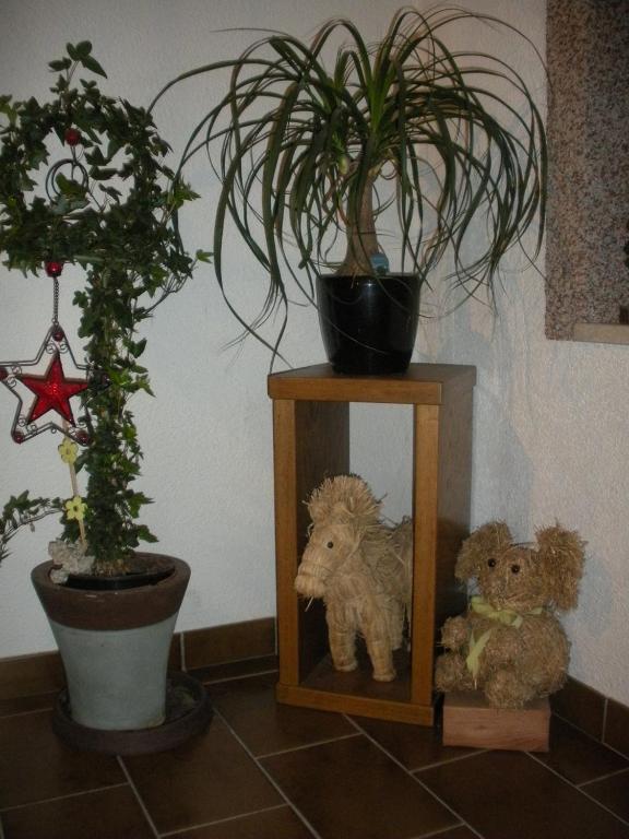 Fotografie z fotogalerie ubytování Haus Margit v destinaci Kössen