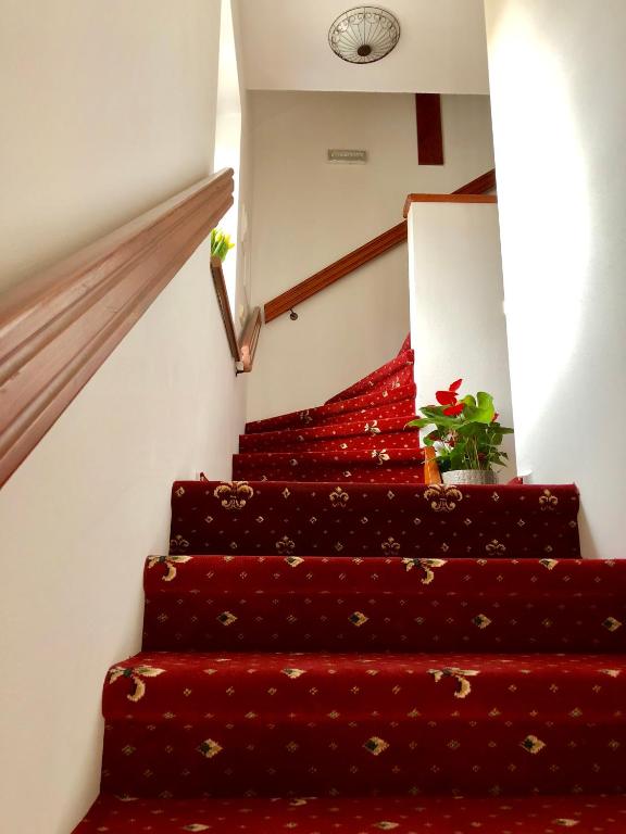 Fotografie z fotogalerie ubytování Familia v destinaci Český Krumlov