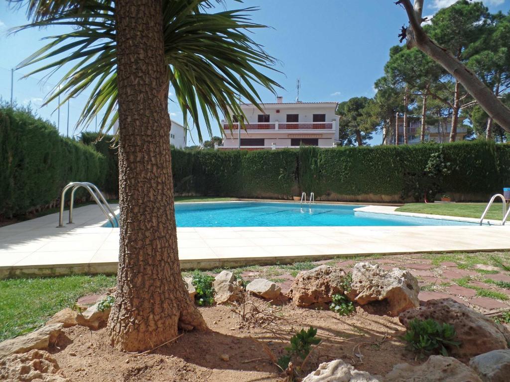 a palm tree sitting next to a swimming pool at Appartement Les Gavines in L'Escala