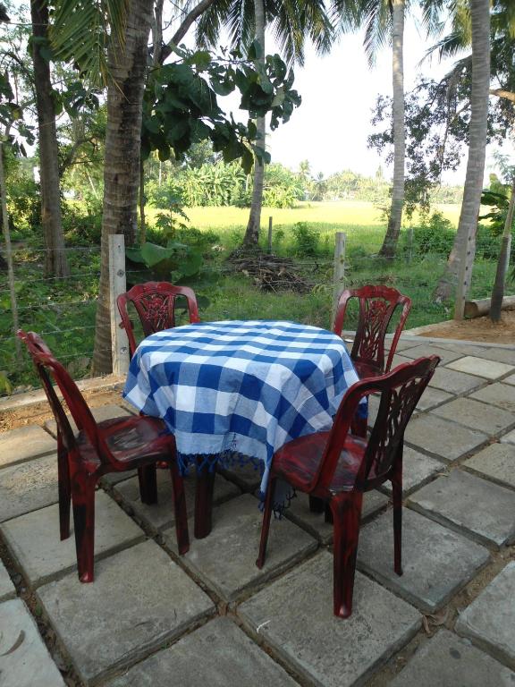 Zahrada ubytování Villa Ravichini