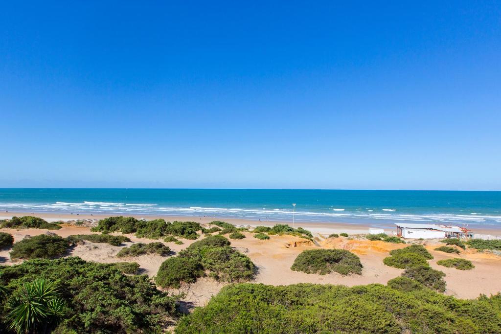 a view of a beach and the ocean at Hipotels Playa La Barrosa - Adults Only in Chiclana de la Frontera