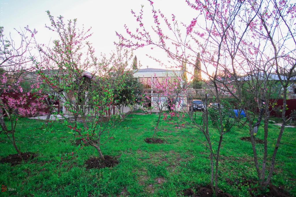 Zahrada ubytování Green Garden Guest House