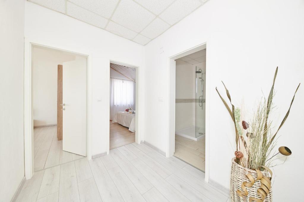 Zdjęcie z galerii obiektu Apartments Gvarda w mieście Umag