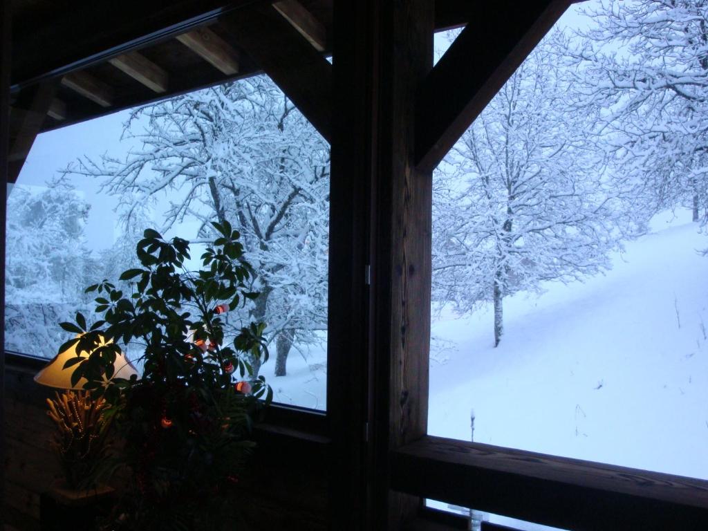Chambres d'Hôtes Chalet de la Source v zimě