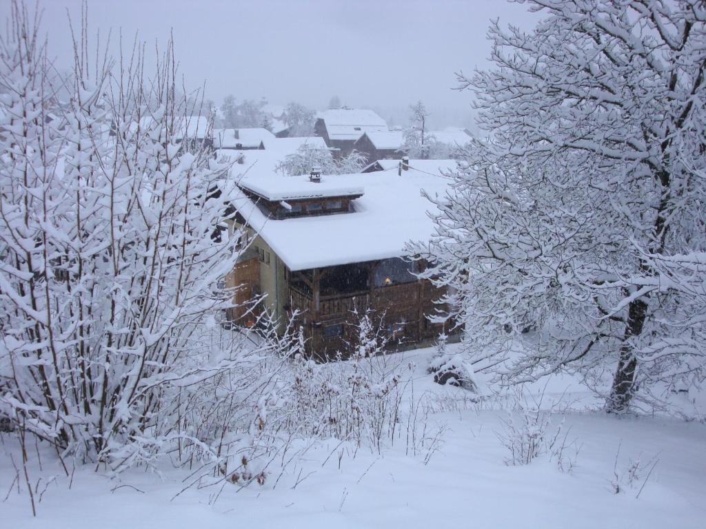 Chambres d'Hôtes Chalet de la Source v zimě