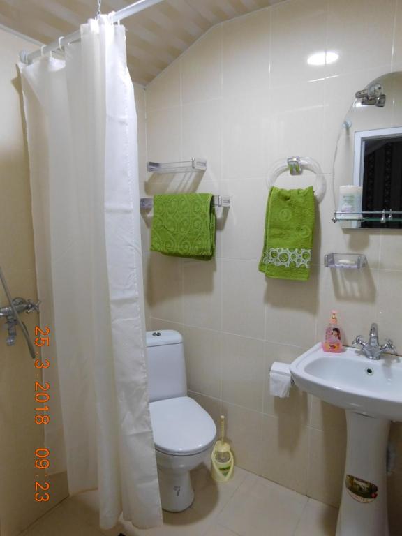 Koupelna v ubytování Akaki's Guesthouse