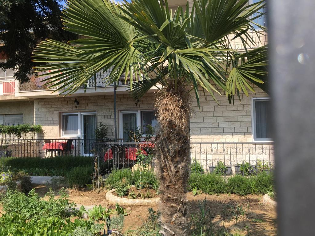 Vonkajšia záhrada v ubytovaní Apartments Ursic