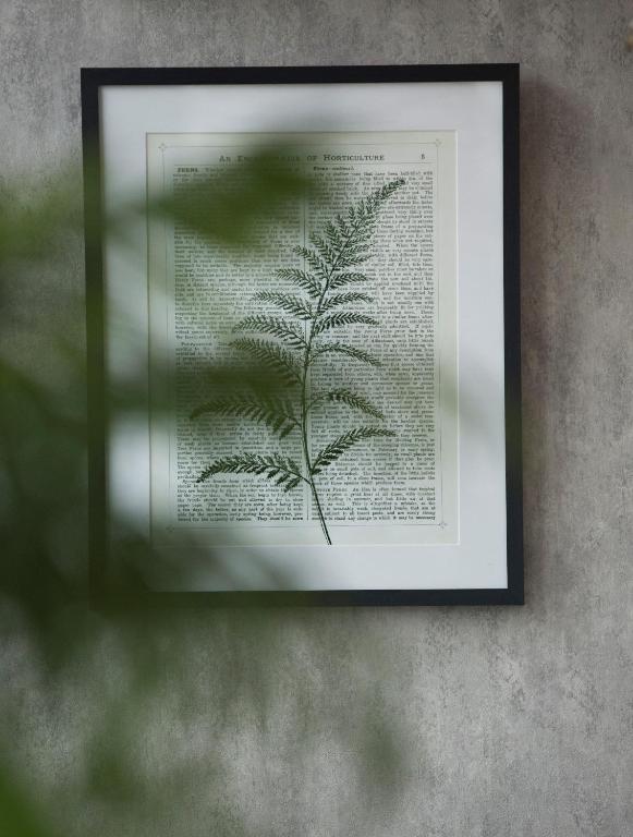 The Cults Hotel - Resim 32