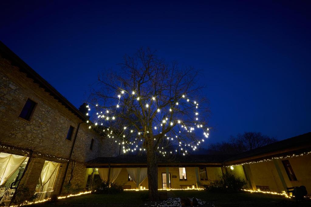 een boom versierd met kerstverlichting voor een gebouw bij Cappuccini Resort in Cologne