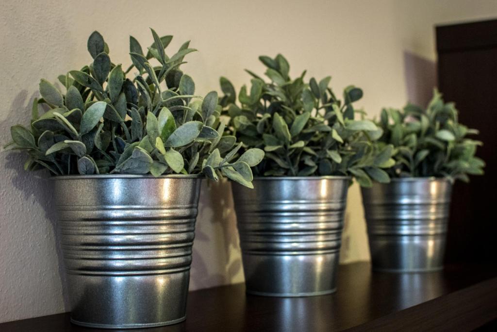 Tylova Apartments - 17