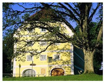 um edifício amarelo com uma árvore em frente em Haus Rufinus am Kloster Seeon em Seeon-Seebruck