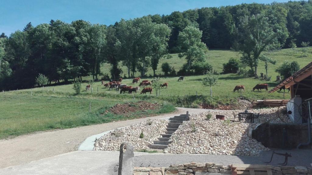 Příroda nedaleko apartmánu