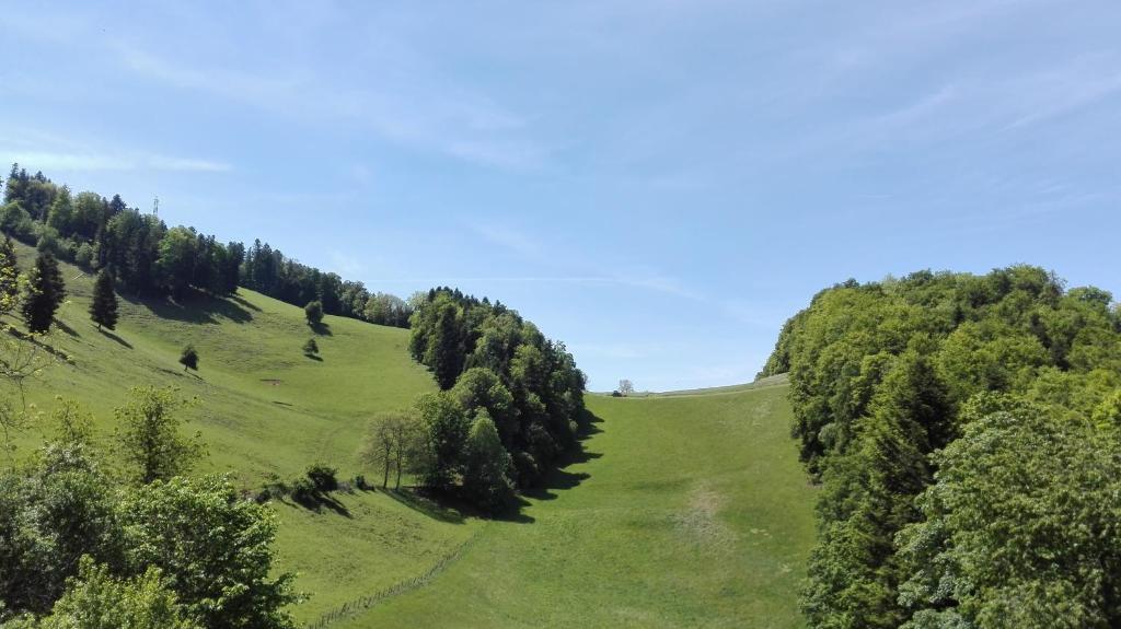 Příroda nedaleko apartmánu