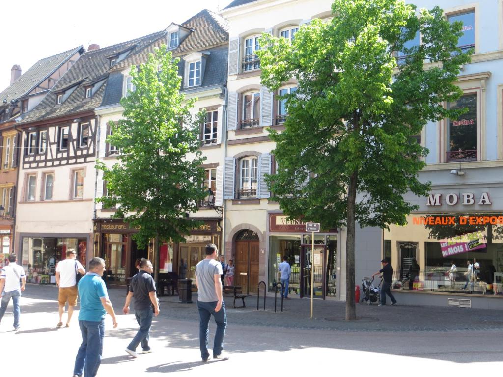 um grupo de pessoas andando em uma rua em frente aos edifícios em Apart' City Break Colmar em Colmar