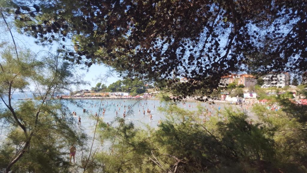 Príroda v okolí apartmánu