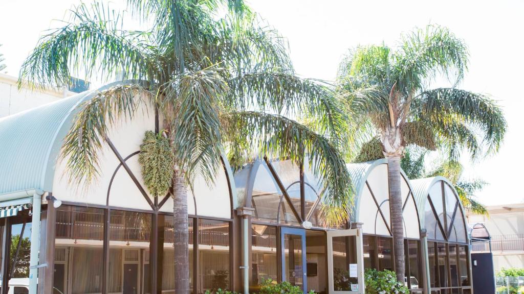Adelaide的住宿－Bay Motel Hotel，两棵棕榈树,在一座建筑前