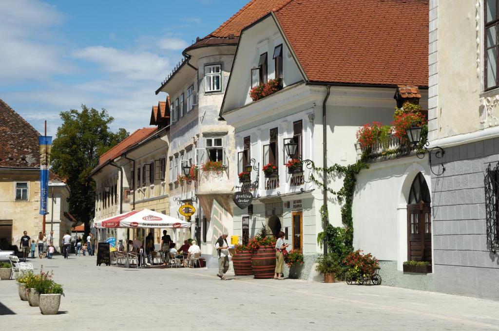 a group of buildings on a street in a town at Pension Lectar in Radovljica