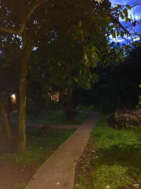 Zahrada ubytování Cabañas Moenga