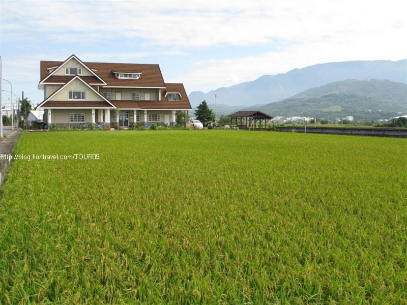 池上鄉的住宿－賢情玉緻民宿，绿草丛中的大房子