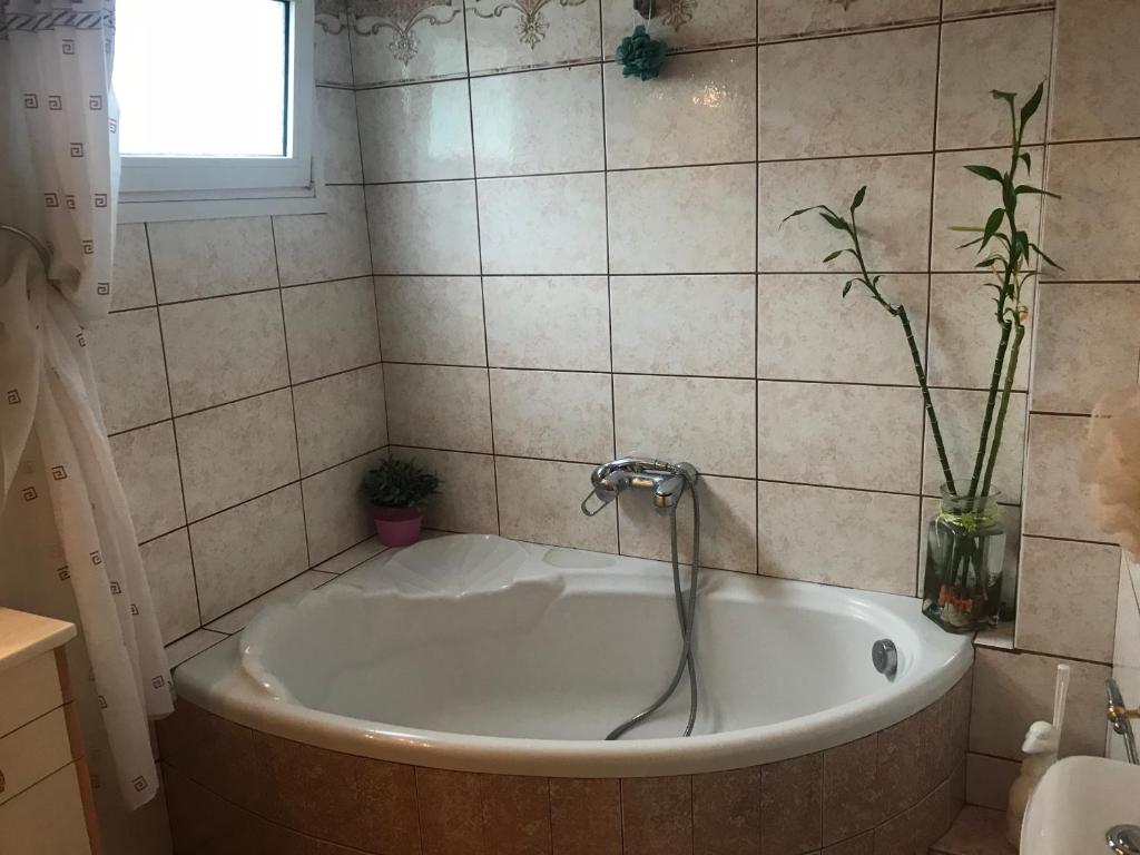 Maria's Apartment - 18