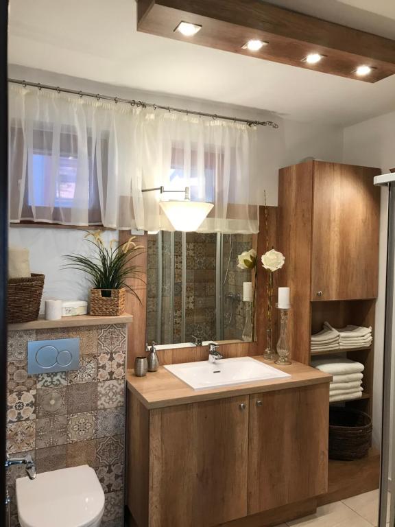 ein Bad mit einem Waschbecken und einem WC in der Unterkunft Apartment House 41 in Sopron