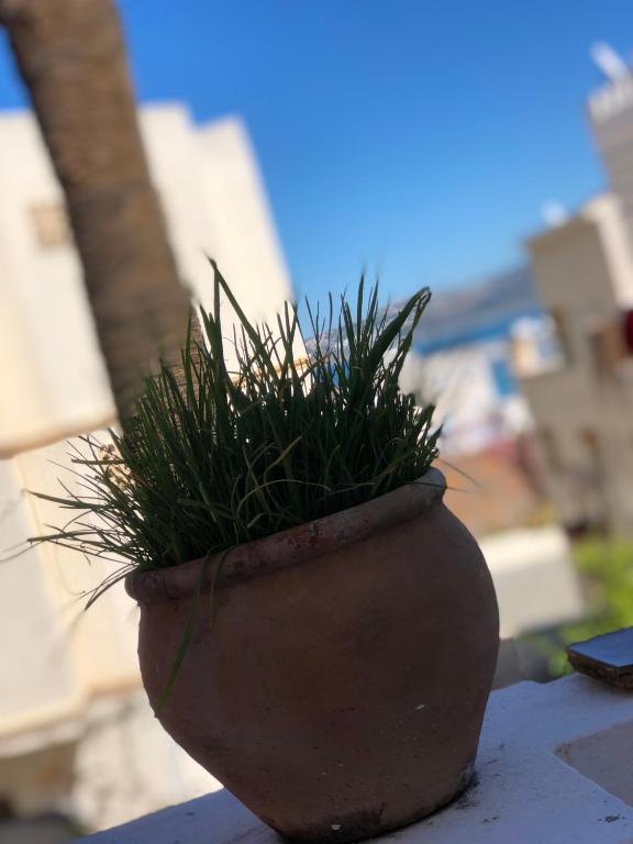 Příroda nedaleko hotelu