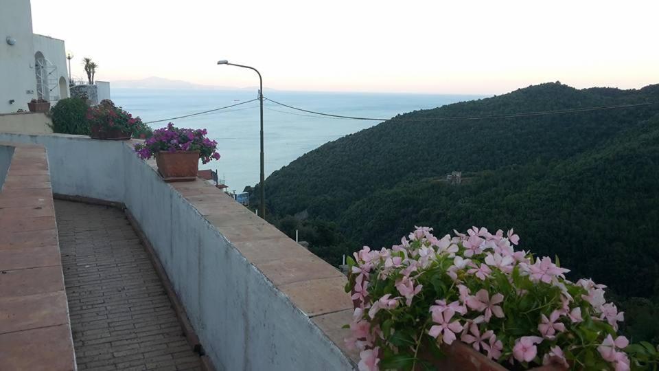 Fotografia z galérie ubytovania Le terrazze di Cristina v destinácii Vietri