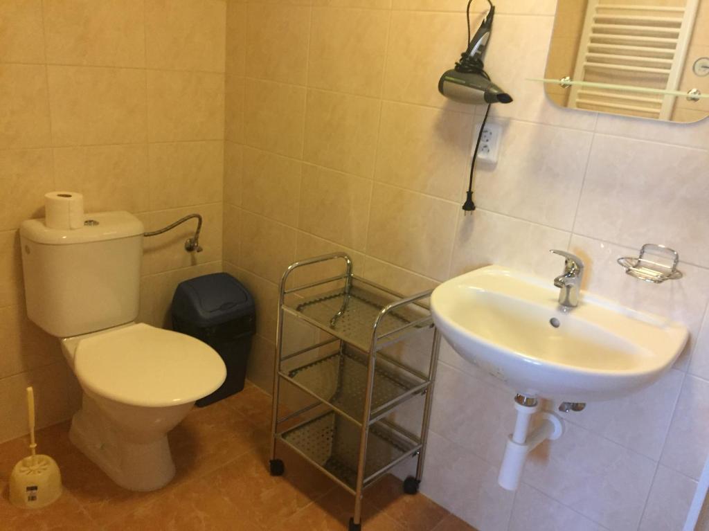 Penzion- Leslav - Resim 16