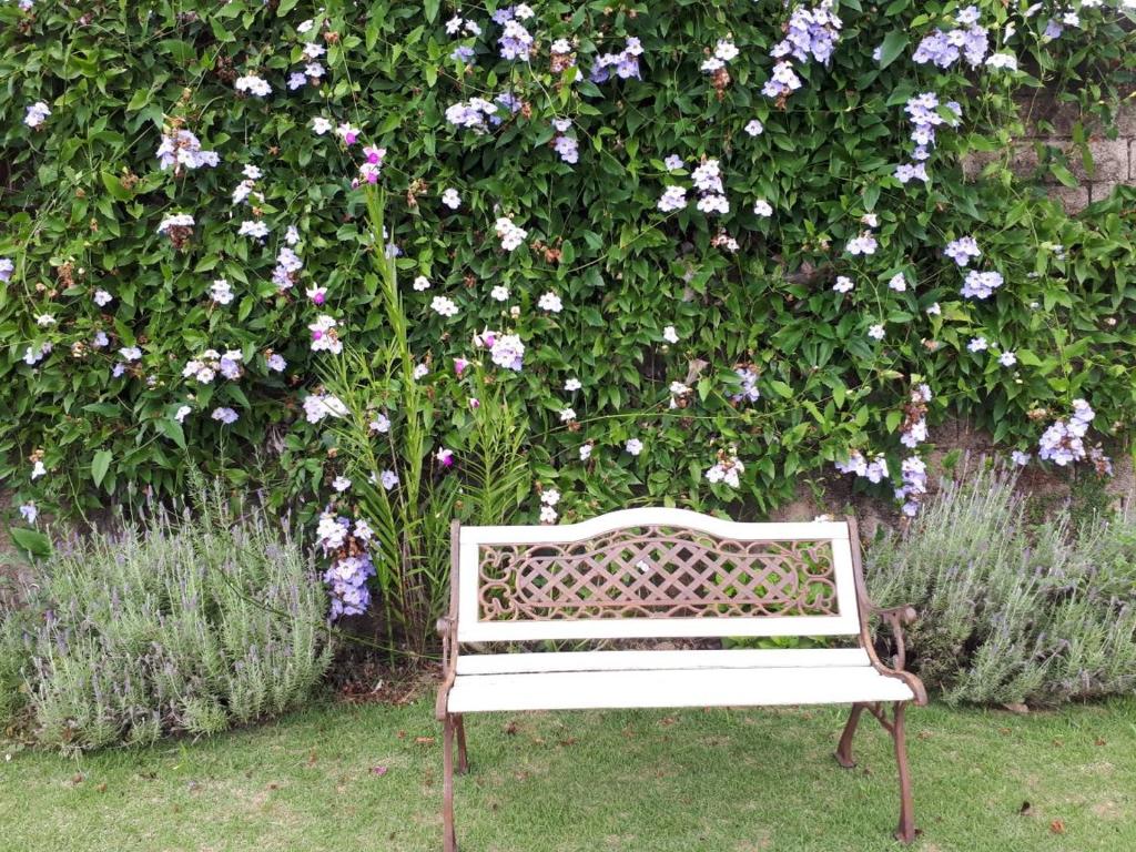 Um jardim no exterior de Chácara Leolud