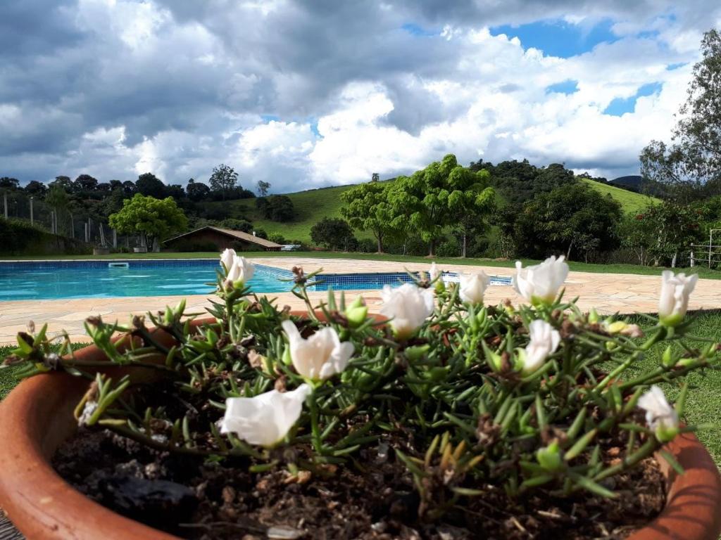 A piscina em ou perto de Chácara Leolud