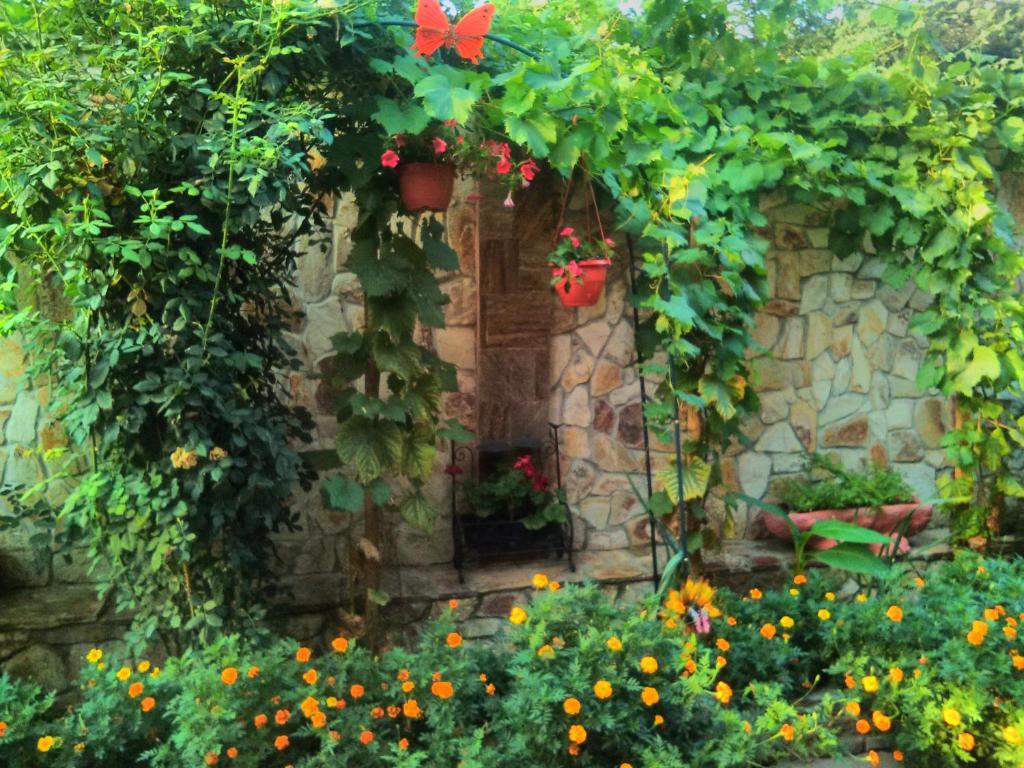 Zahrada ubytování Gelov Hotel
