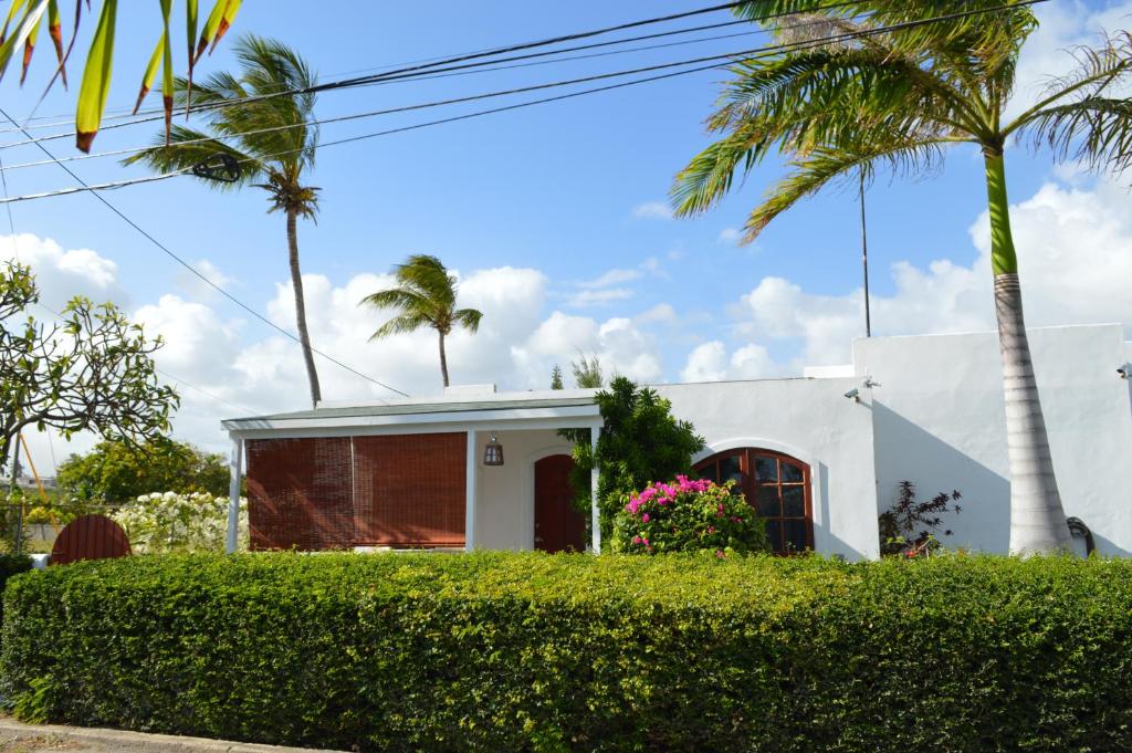 a white house with palm trees and bushes at Frangipani Apartment in Christ Church